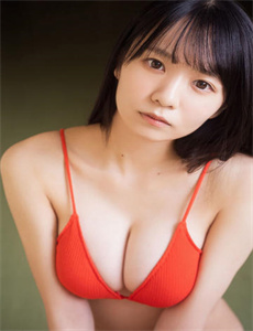 熊鼠一家全集